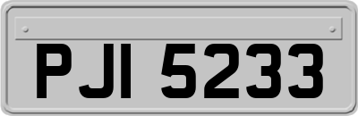 PJI5233