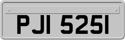PJI5251