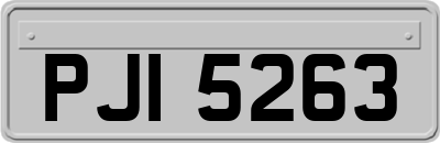PJI5263