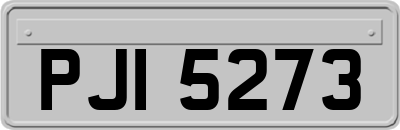 PJI5273