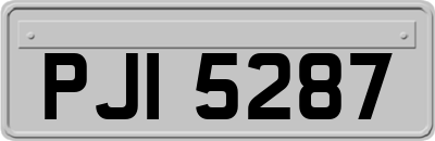 PJI5287