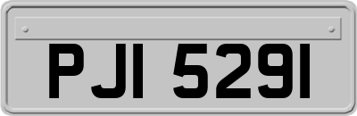 PJI5291