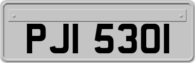 PJI5301