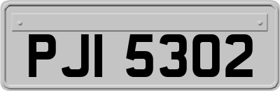 PJI5302
