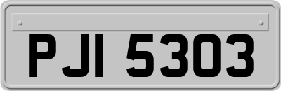 PJI5303