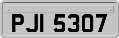 PJI5307