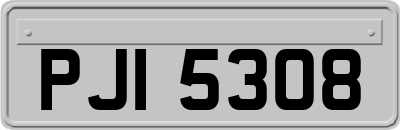 PJI5308