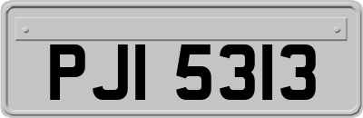 PJI5313