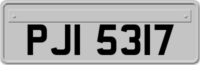 PJI5317