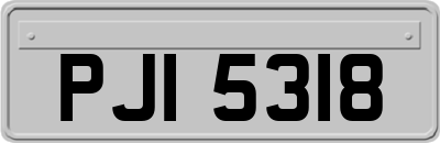 PJI5318
