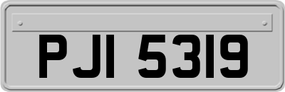 PJI5319