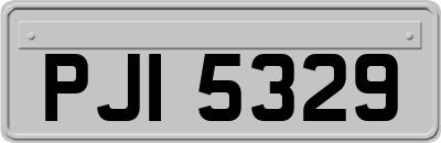 PJI5329