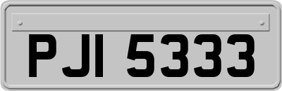 PJI5333