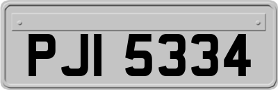 PJI5334