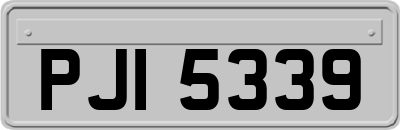 PJI5339