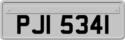 PJI5341