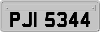 PJI5344