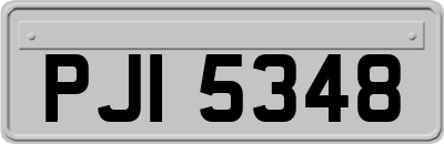 PJI5348