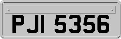 PJI5356