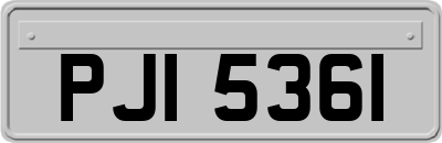 PJI5361