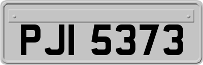 PJI5373