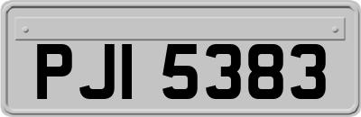 PJI5383