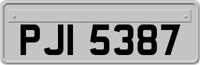 PJI5387
