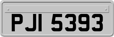 PJI5393