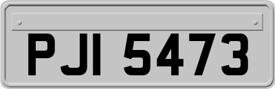 PJI5473