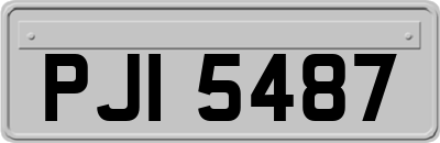 PJI5487