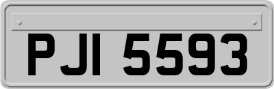 PJI5593
