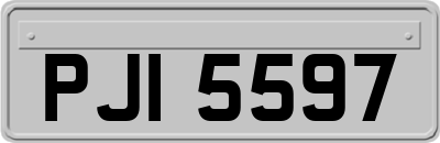 PJI5597