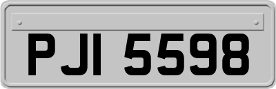 PJI5598