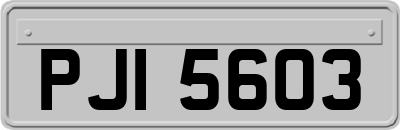 PJI5603