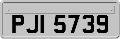PJI5739