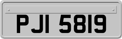 PJI5819