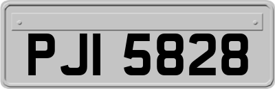PJI5828