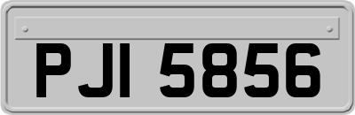 PJI5856