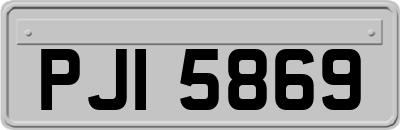 PJI5869