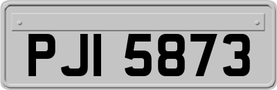 PJI5873