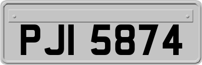 PJI5874