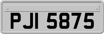 PJI5875