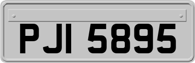 PJI5895