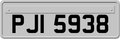 PJI5938