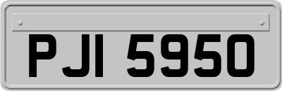 PJI5950