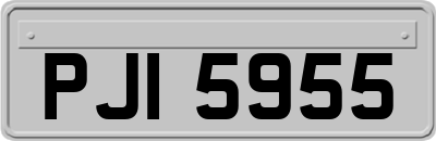 PJI5955