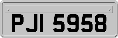 PJI5958
