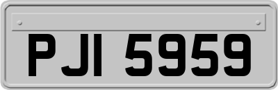 PJI5959