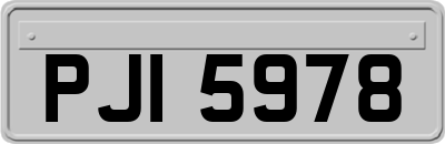 PJI5978