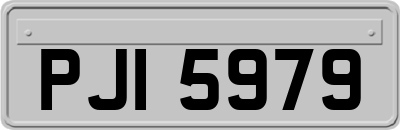 PJI5979